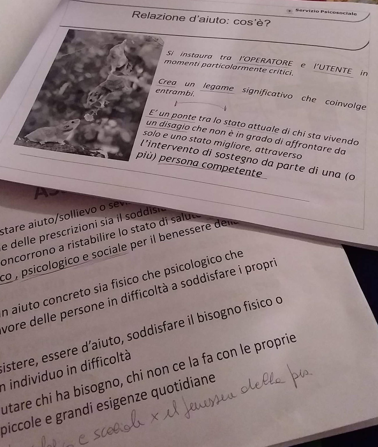 FB_IMG_1508659537793